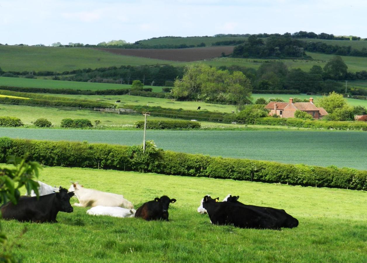 Manor House Stables, Martin - Lovely Warm Cosy Accommodation Near Woodhall Spa Exterior photo